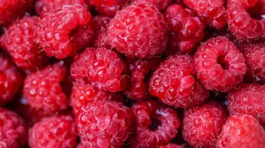 garnishing-instructions-image